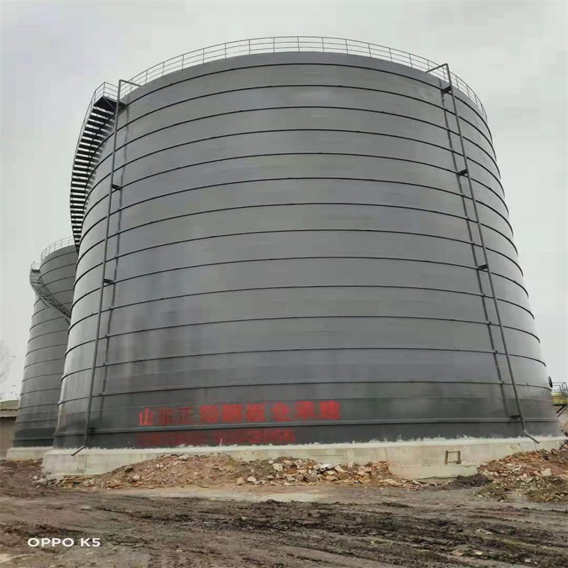 洛南3万吨大型钢板库